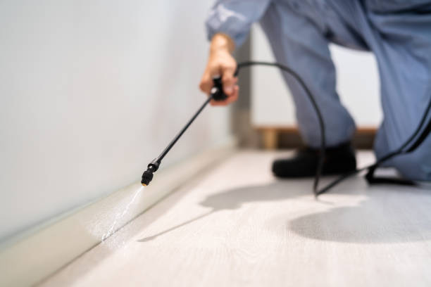 Licensed Pest Control service in Pittston, PA - Show Me Pest Control