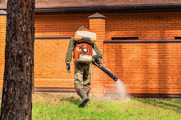 Top rated local Ant Control specialists in Pittston, PA